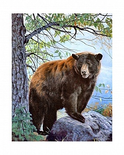 "Бурый медведь" - Картина стразами (набор), 38х48 см, WD083