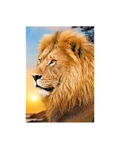 "Хозяин Африки" - Картина стразами (набор), 27х38 см, WD070