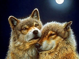 "Волк и волчица" - Картина стразами (набор), 60х45 см, АЖ-1200